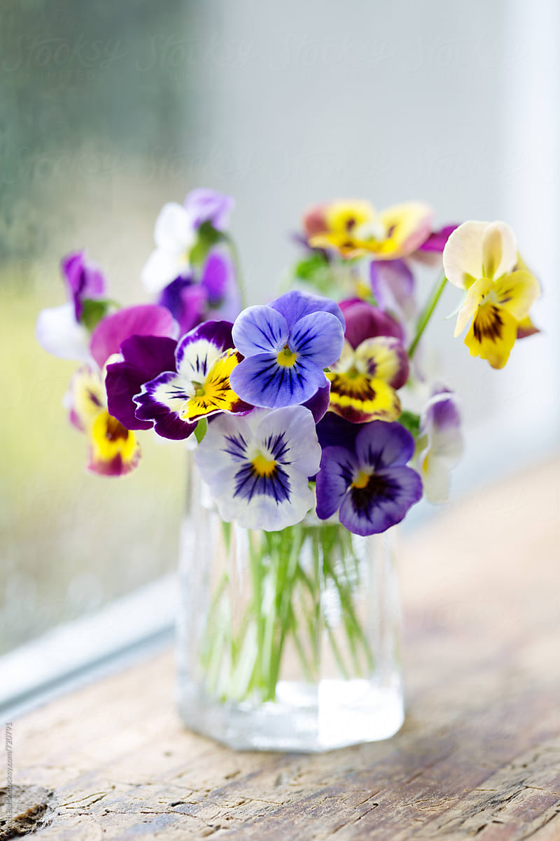 Vase Of Pansies On A Window Sill By Ruth Black - Flower -7819