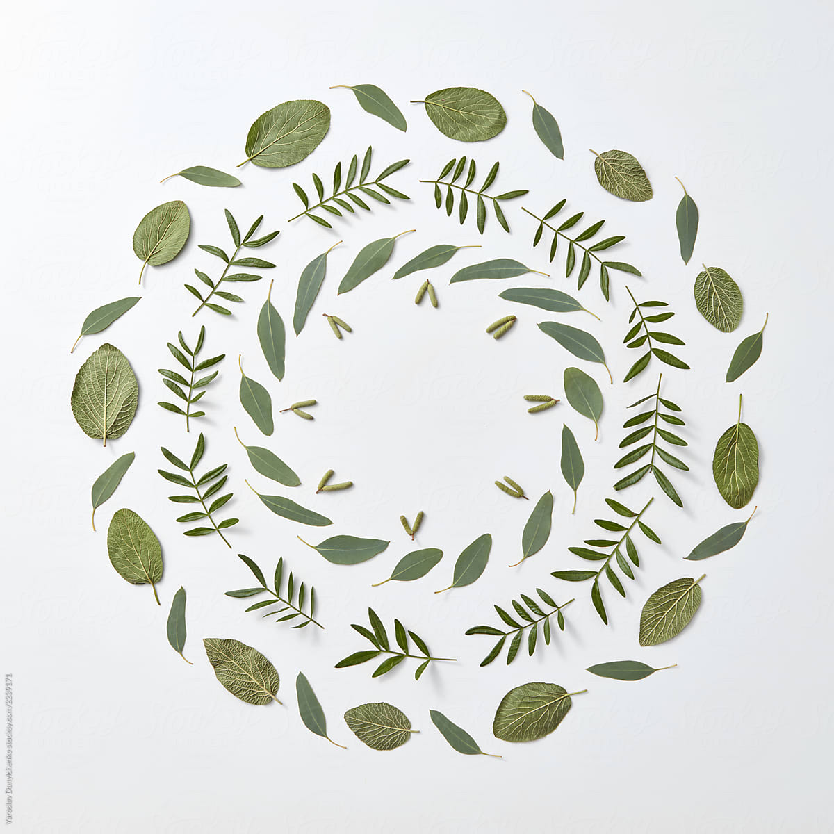 Round frame of different green leaves on a gray background with space for text. Creative natural layout. Flat lay