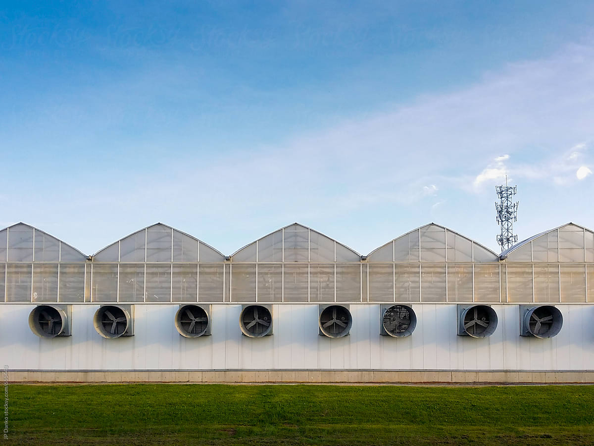 Large Scale Industrial Greenhouse on Large Agricultural Farm