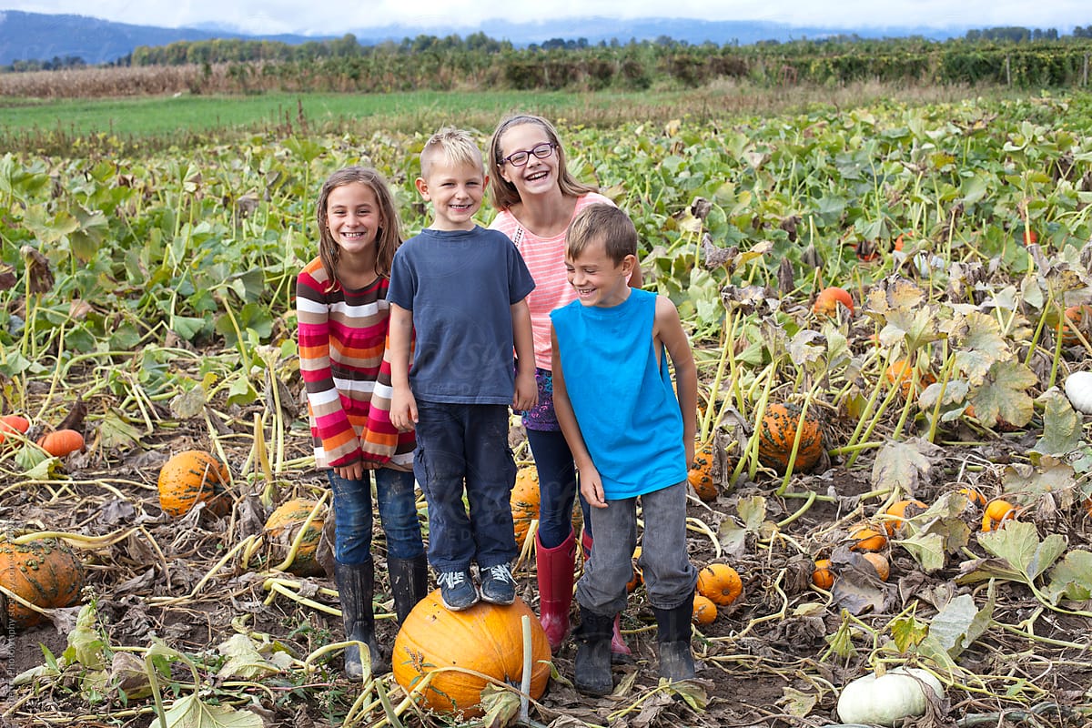 Four kids having fun at the pumpkin patch