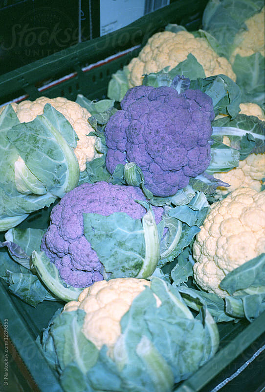 Purple and white Cauliflower
