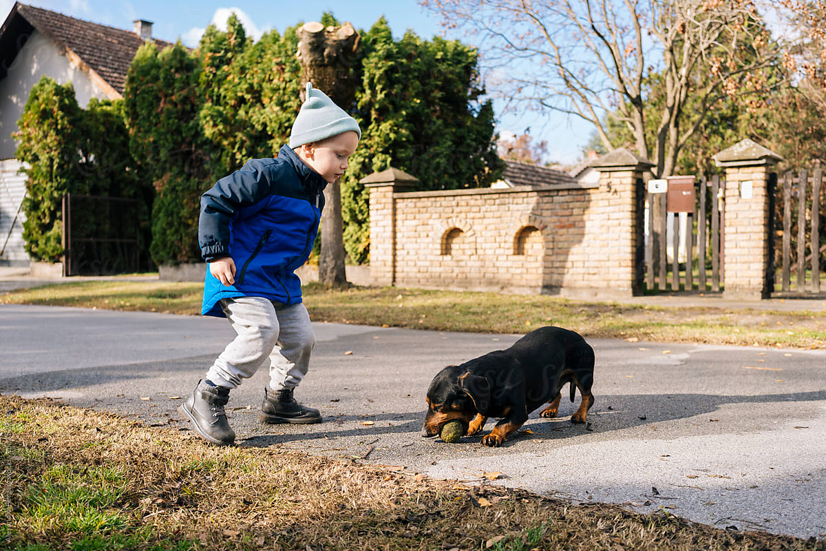 Child and dog playing with tennis ball on the street