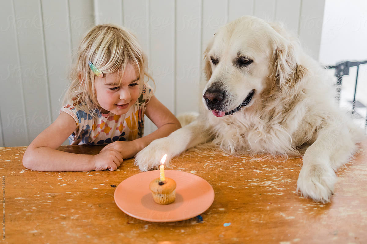 little girl and her dog celebrating his birthday