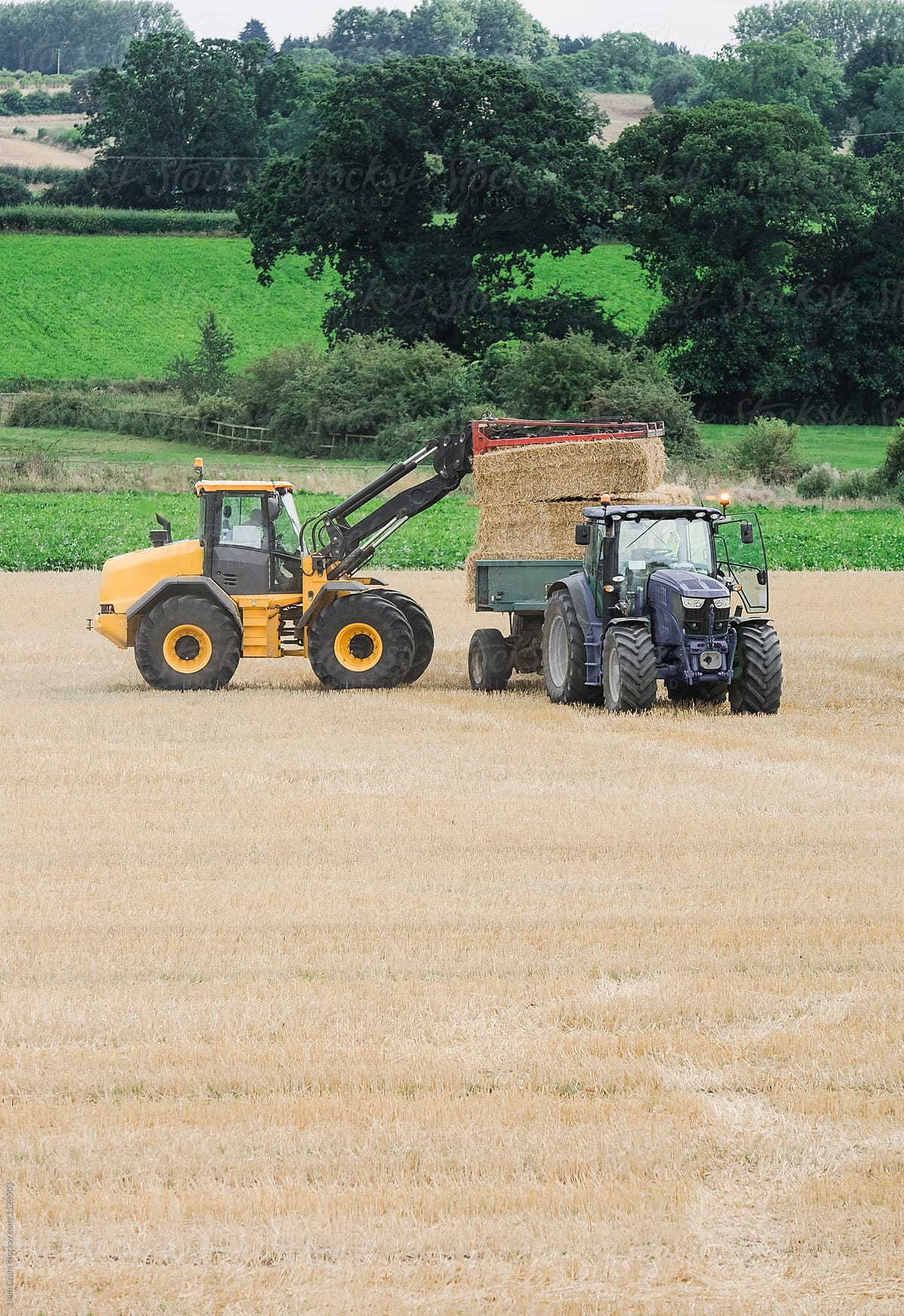 Wheel loader collecting straw bales and loading them onto a trac