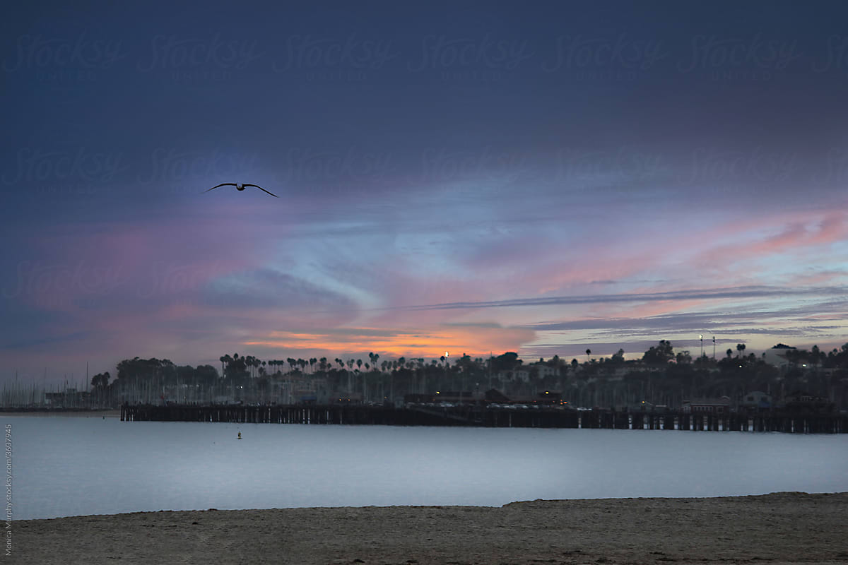 Coastal pier at sunset with bird