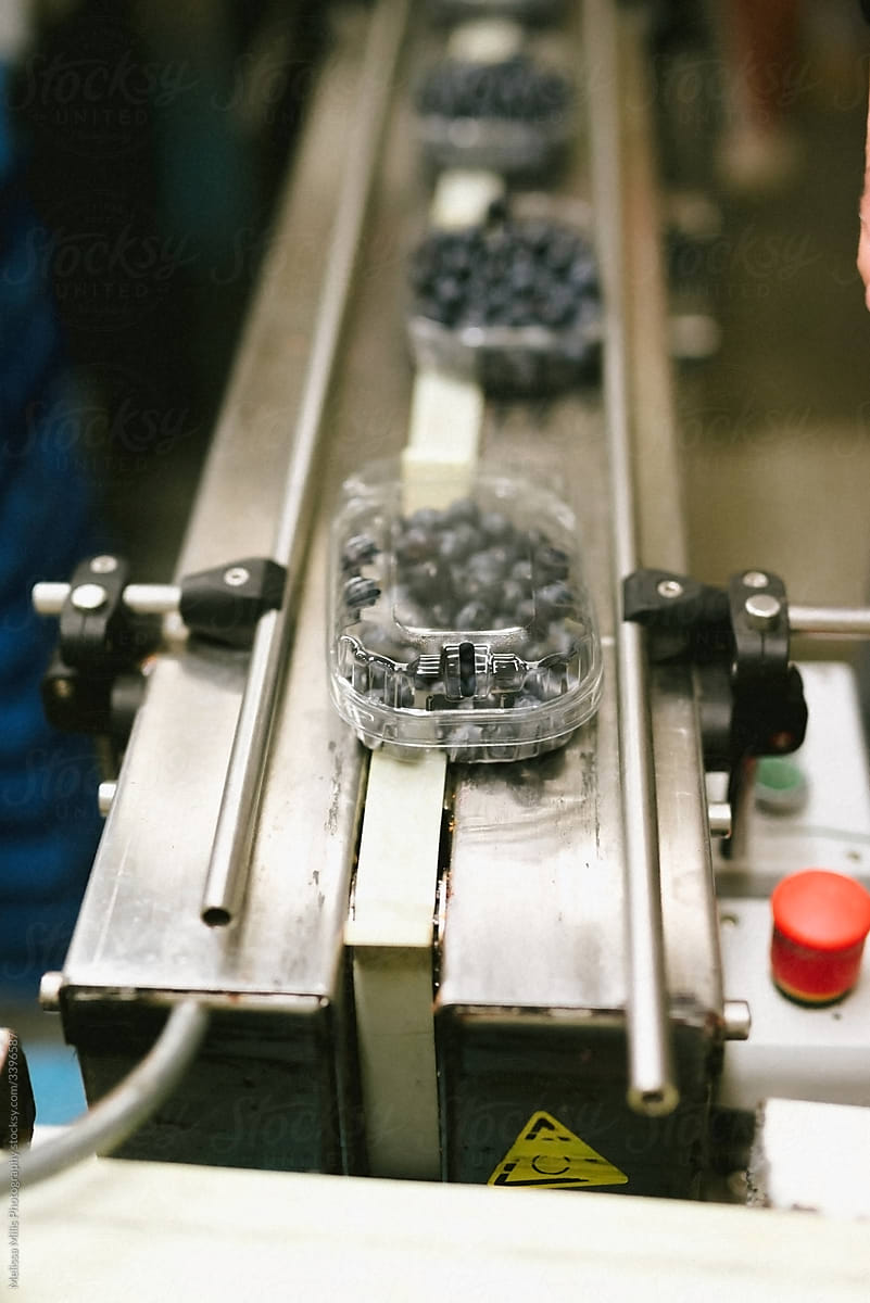 Packing blueberries in plastic