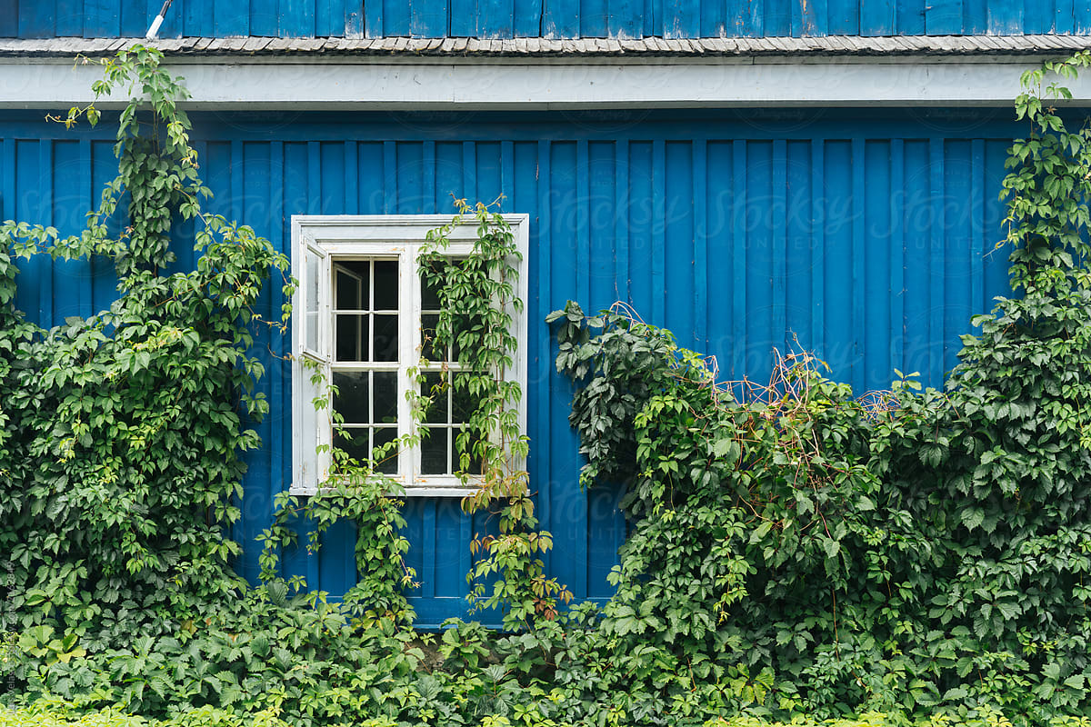 Blue Wooden House In Trakai, Lithuania