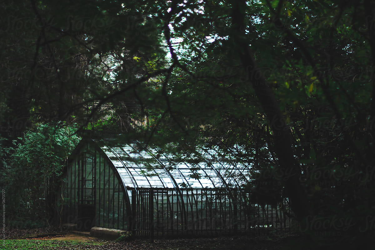 Greenhouse hidden behind trees