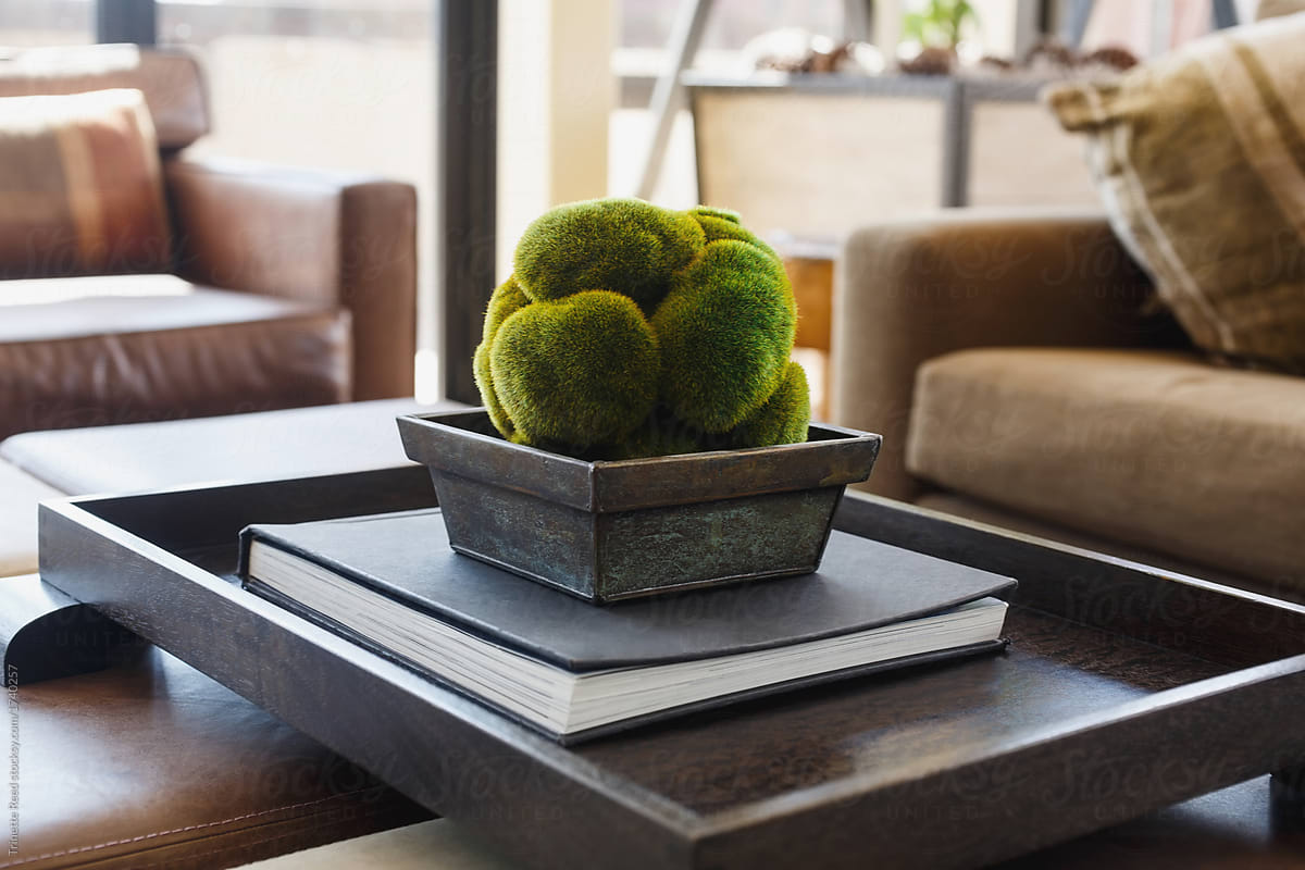 Moss balls in wood bowl on table in living room at luxury resort