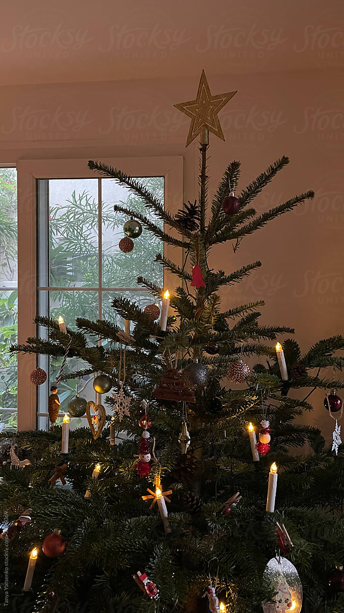 A Christmas tree at home in a warm country
