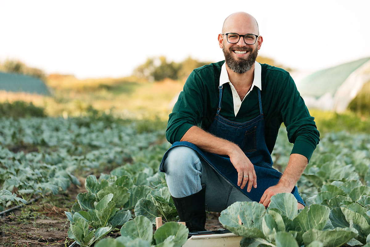 Gardener posing in cabbage field