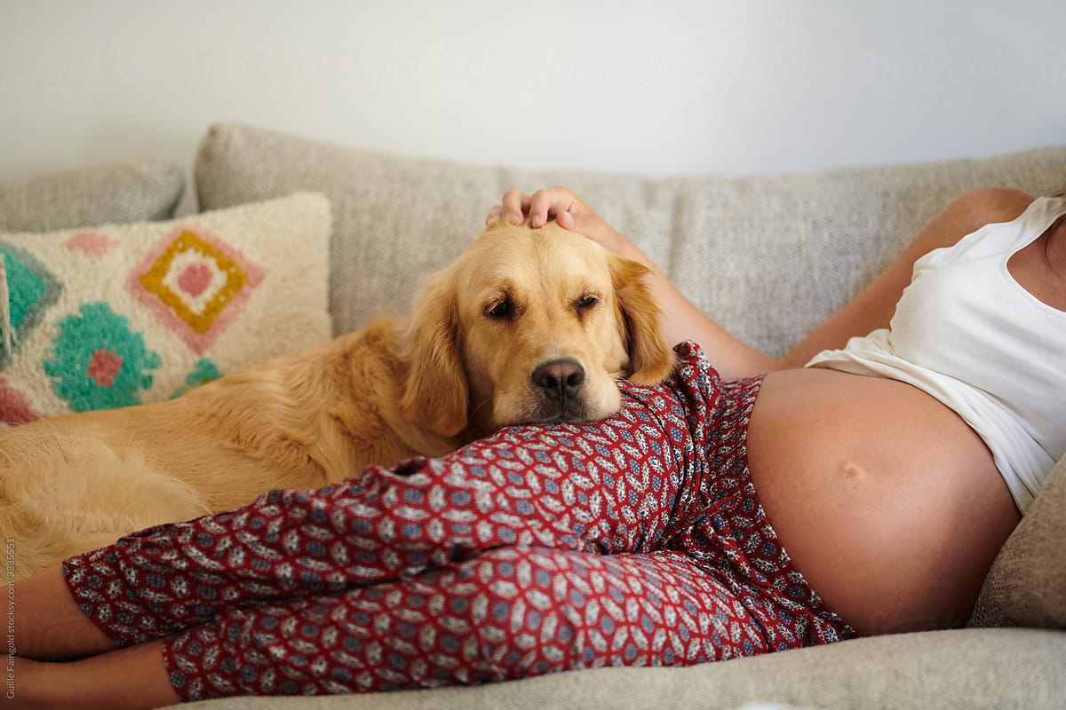Pregnant woman caressing dog pet