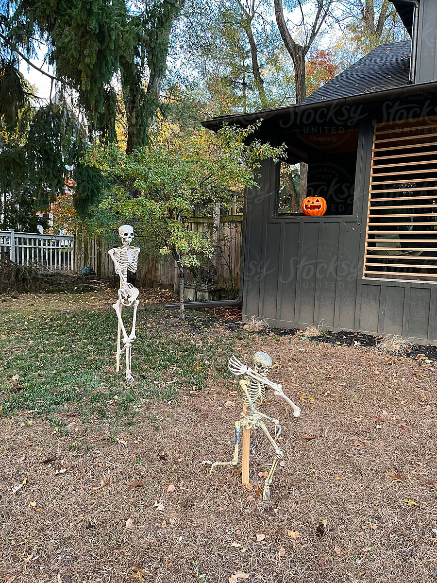 Funny Skeletons at Halloween