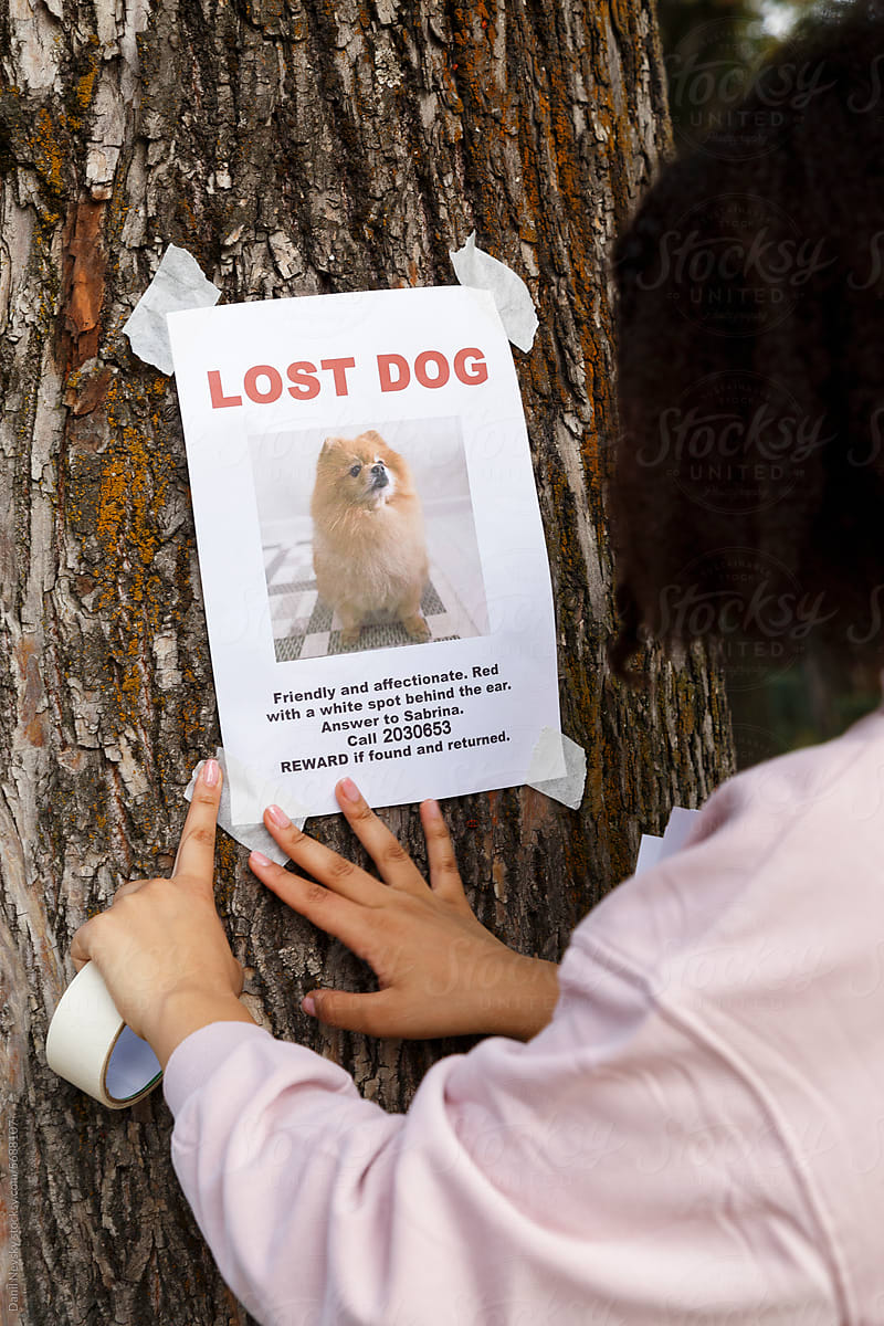 Crop woman sticking lost dog flyer on tree trunk