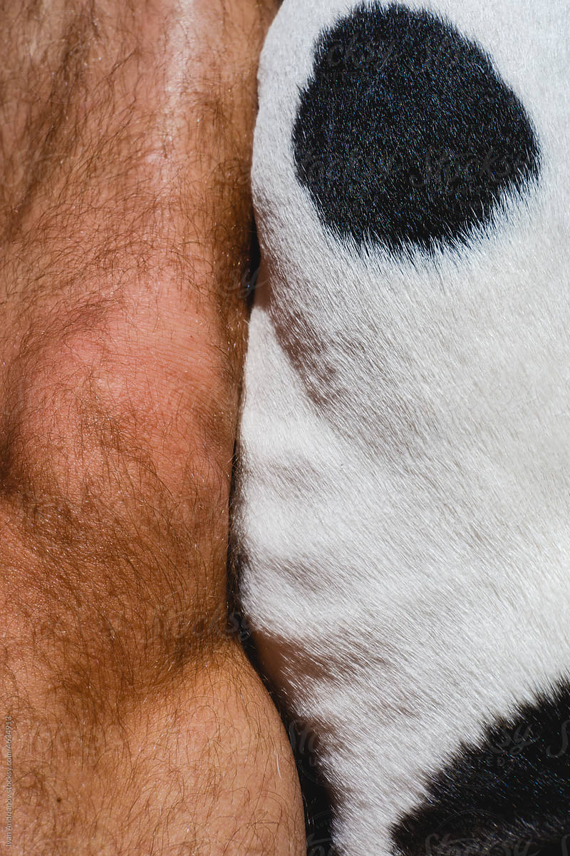 Human Skin And Dog Hair Texture Close Up