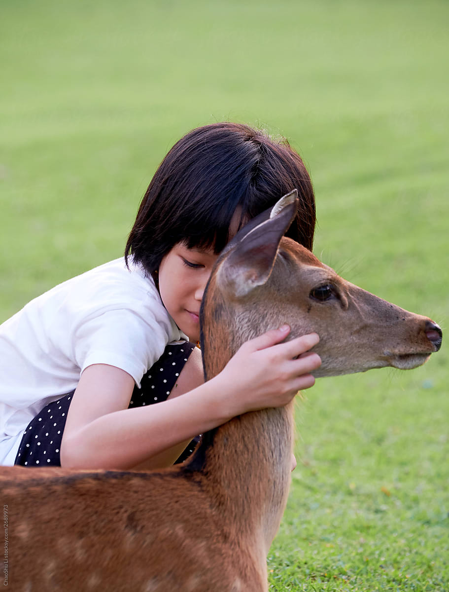 Asian little girl with sika deer, in Nara, Japan