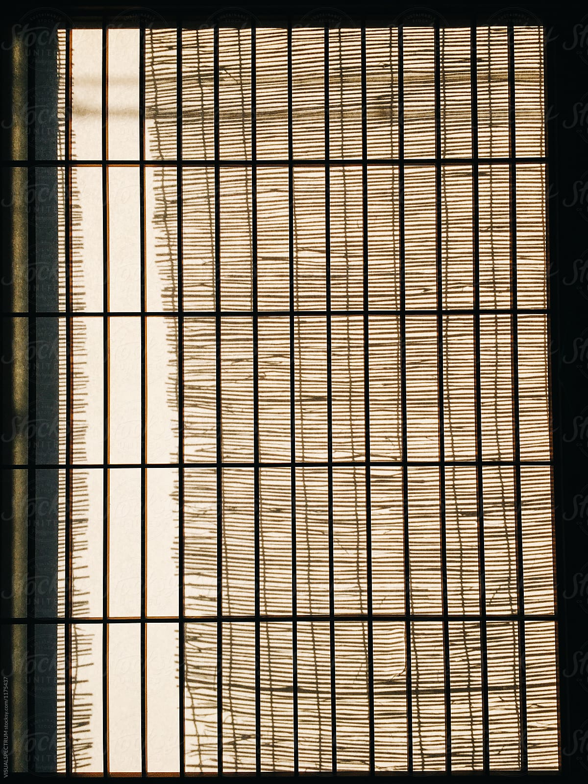 Shadow of Bamboo Curtain on Japanese Paper Window