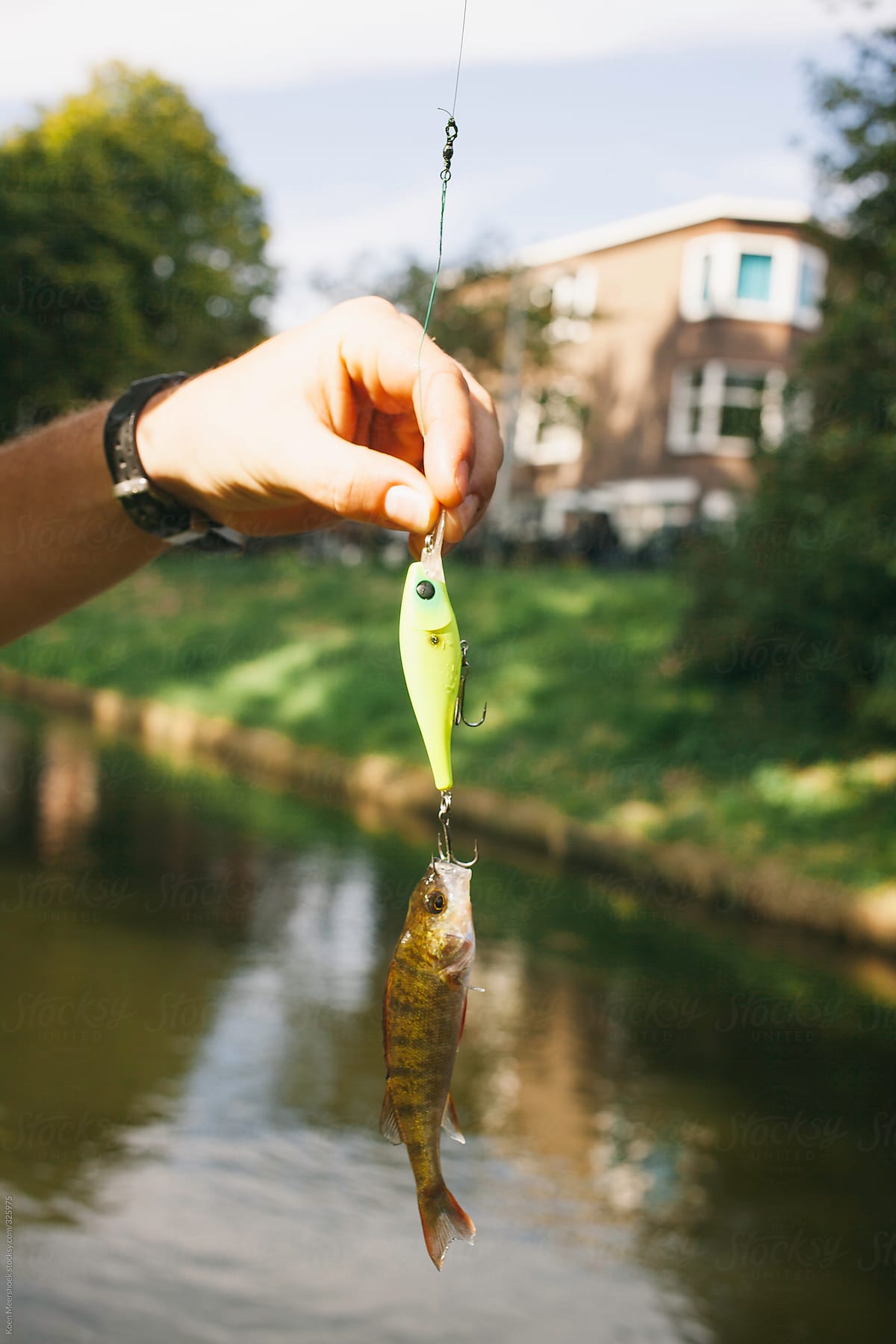 Man holding a fishing lure with a fish underneath.