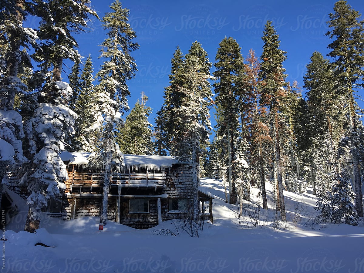 Snowed in Winter Lodge