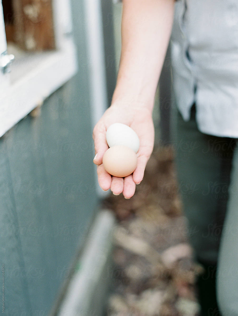 Woman holding chicken eggs from her farm
