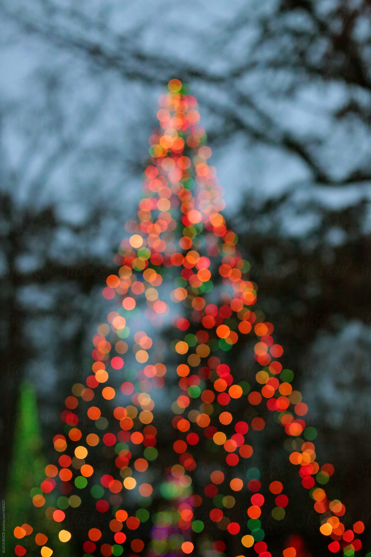 A Holiday Tree Made Of Lights