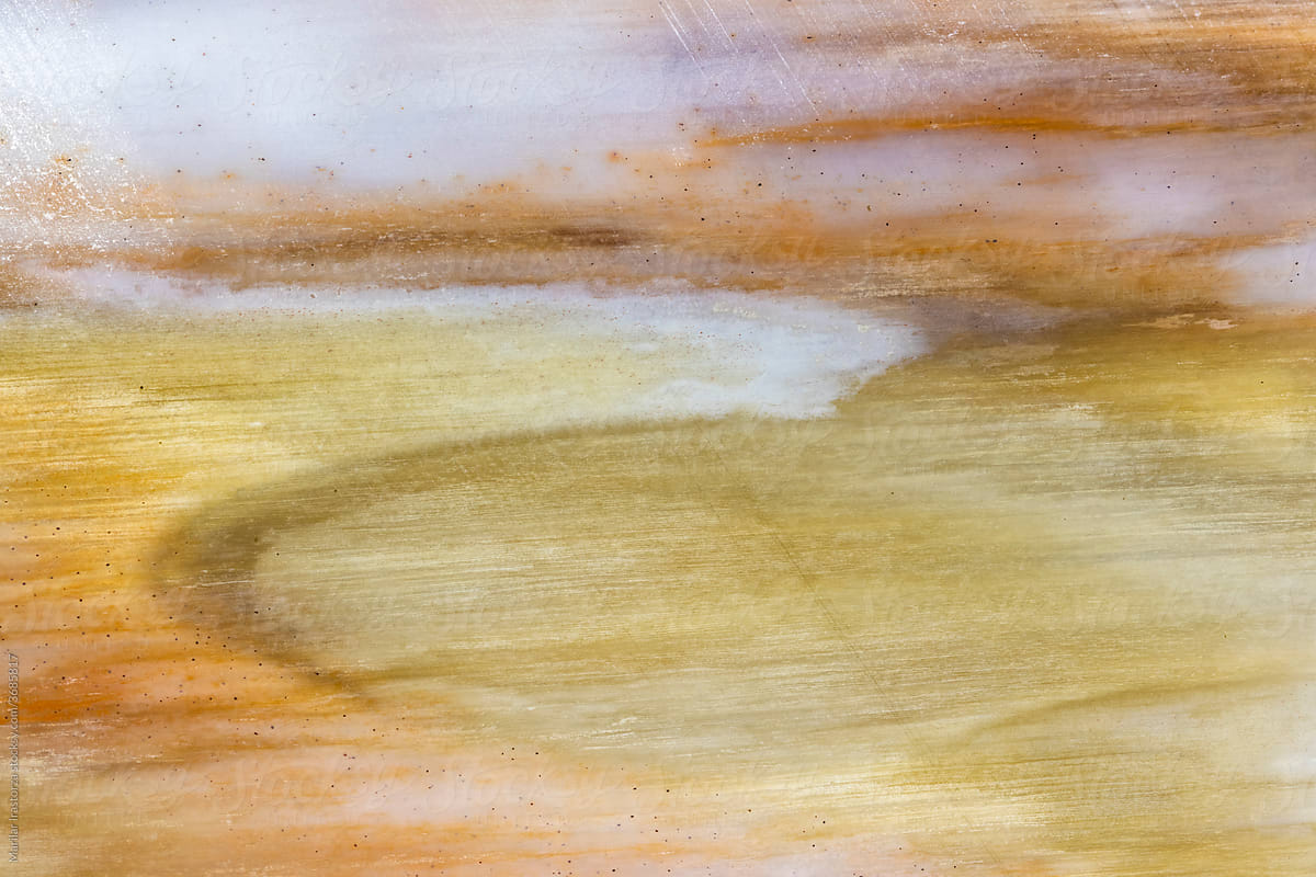Petrified Wood Rock in Pastel Color Tones
