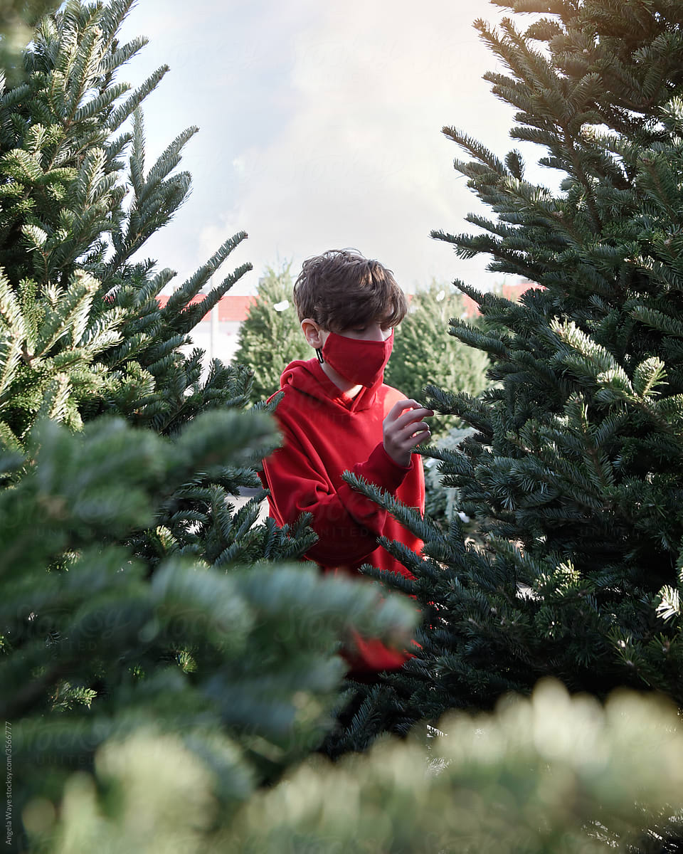 Boy Touching Christmas Tree Outside