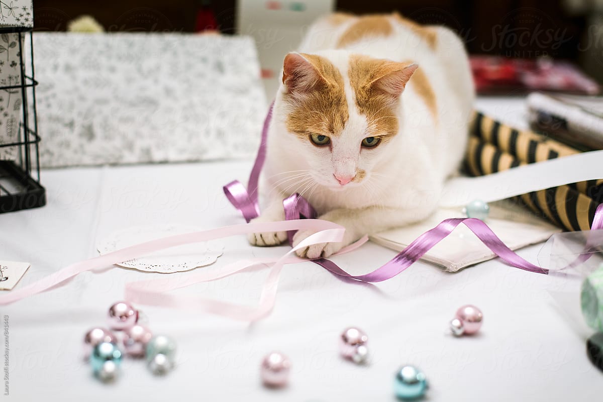 White and ginger cat playing with christmas balls and ribbons