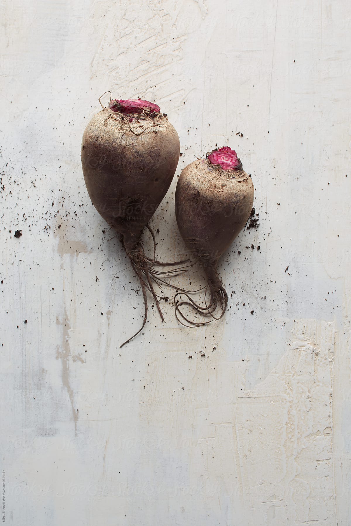 Still of two fresh beets on old painted surface