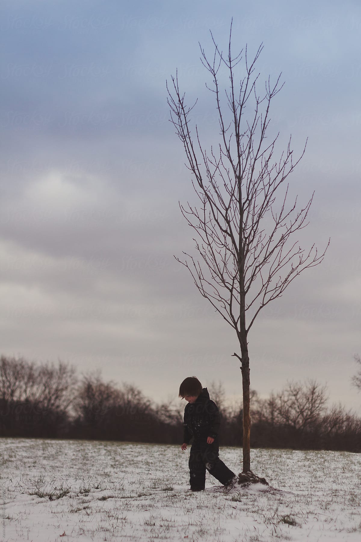 Young Boy Walking Near a Young Tree