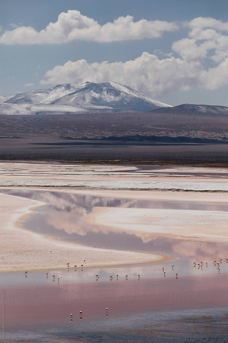 Color and flamingos at the Laguna Colorada in Bolivia