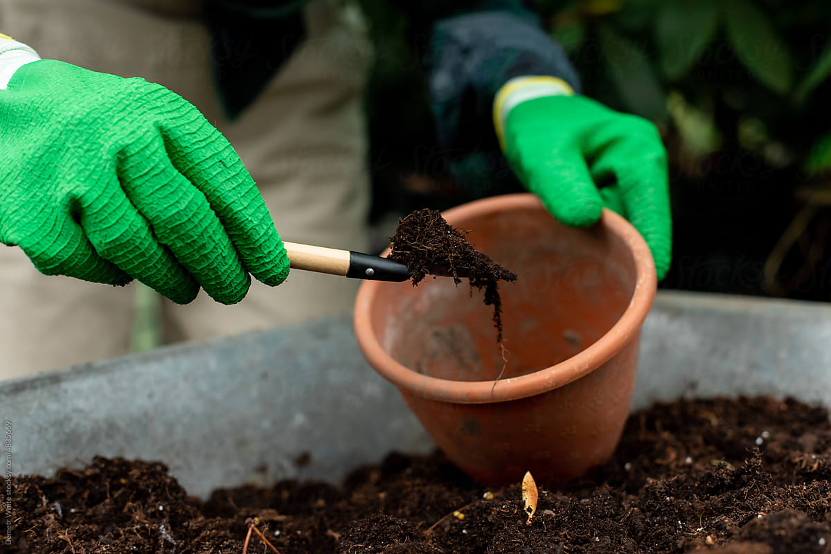 Gathering black soil using tools