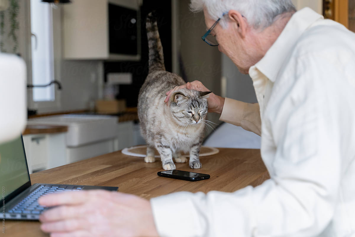 Senior man petting cat while working on laptop