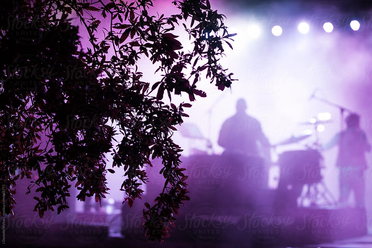 Silhouette of musical band performing with silhouetted leaves and branches in foreground