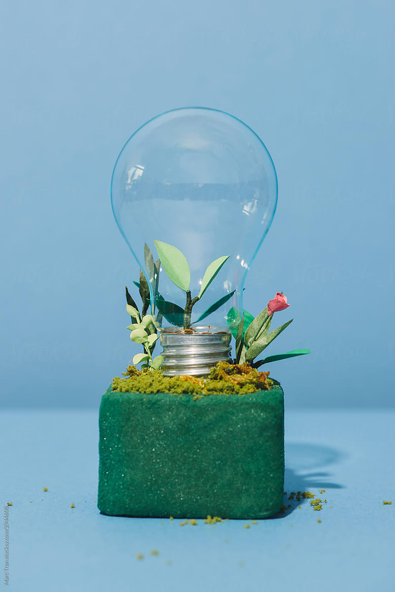 Light Bulb with soil and green plant sprout inside