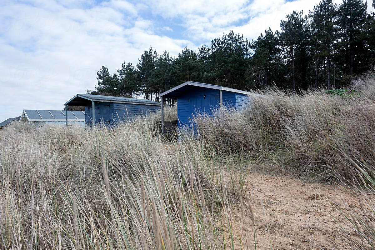 Beach huts in sand dunes set amongst tall beach grass and evergreen trees
