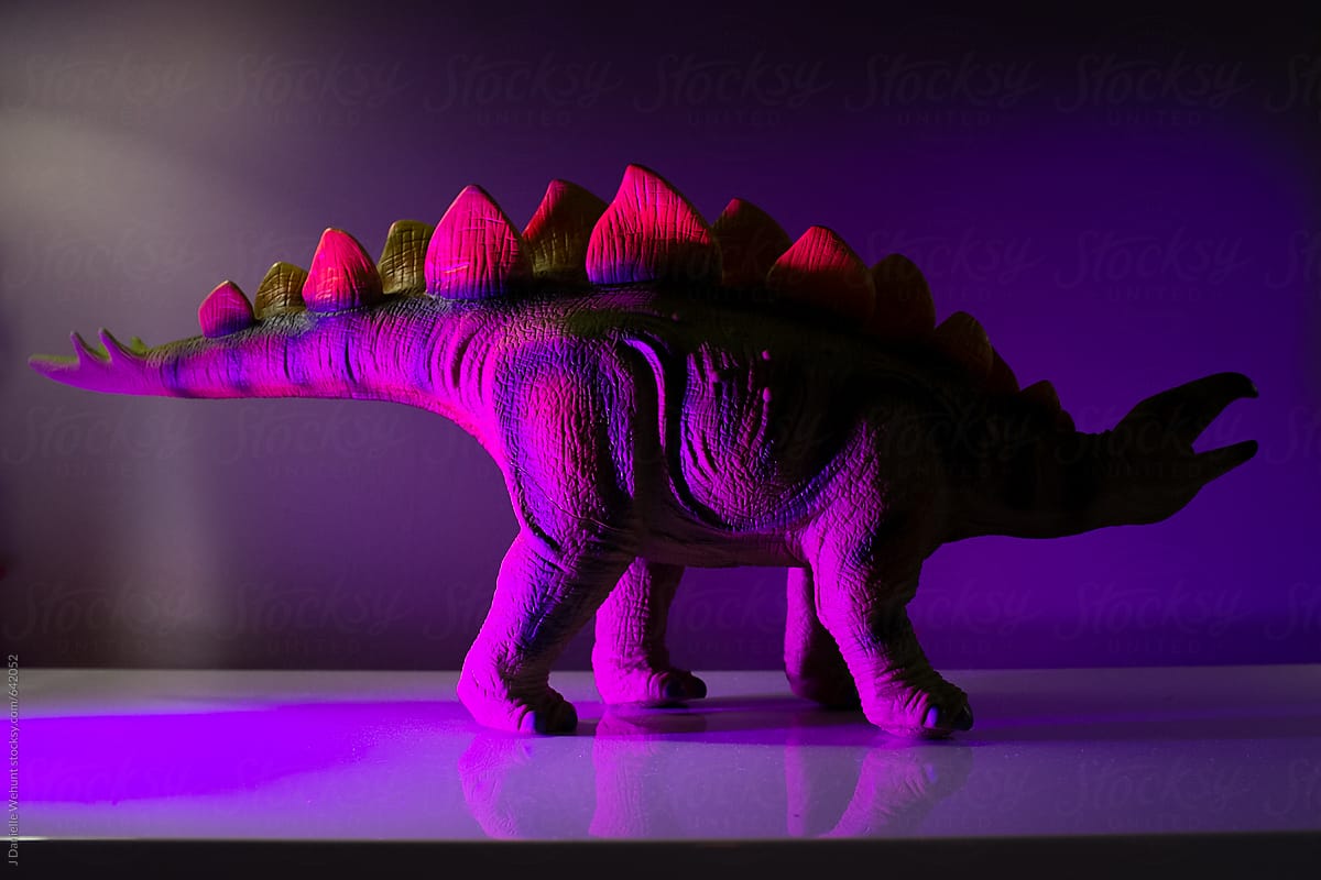 A toy stegosaurus dinosaur lit with mysterious purple light.