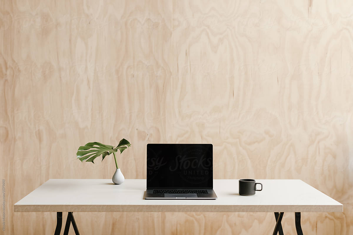 modern creative desk with laptop, plant and coffee mug