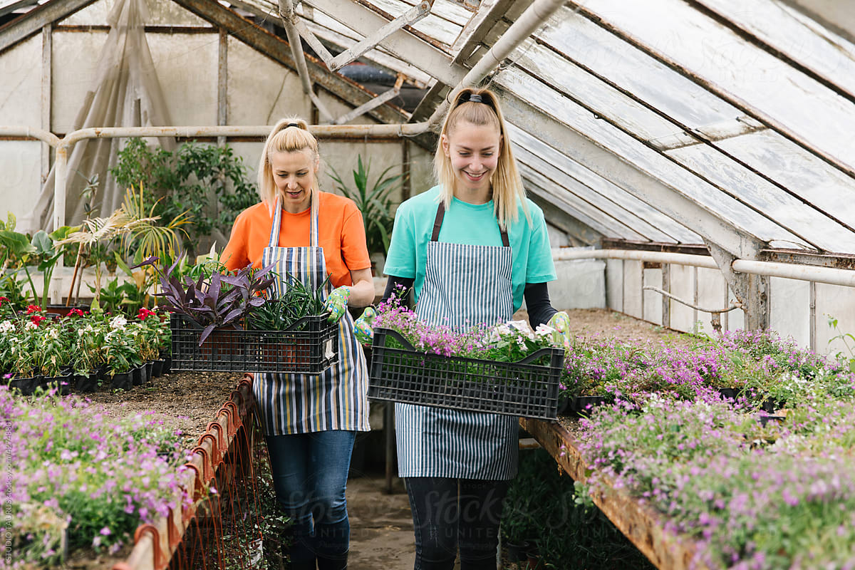 Two Women In The Greenhouse