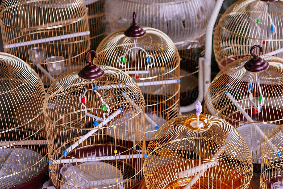 Various bird cages for sale