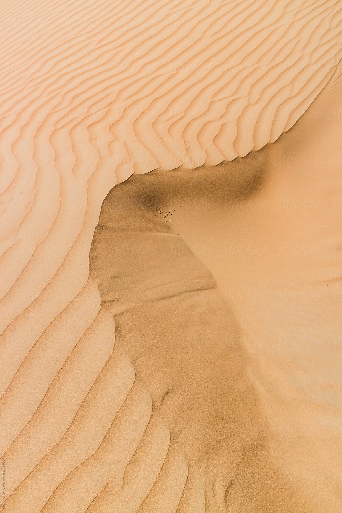Desert dune. copy space