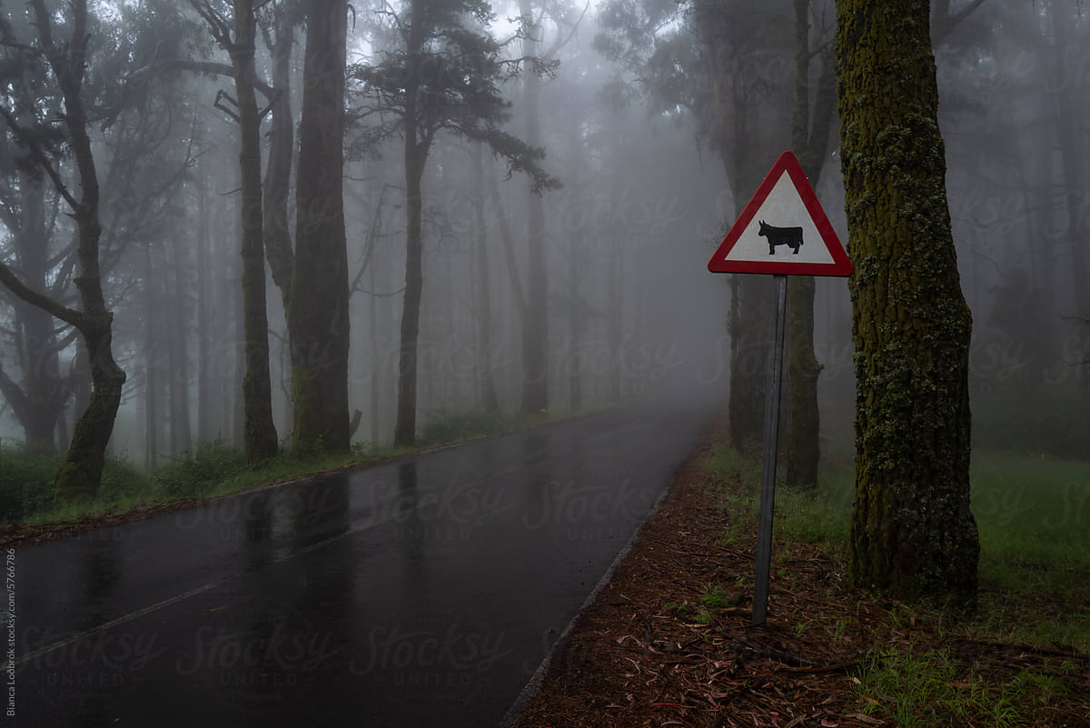 Animal crossing sign in a misty forest