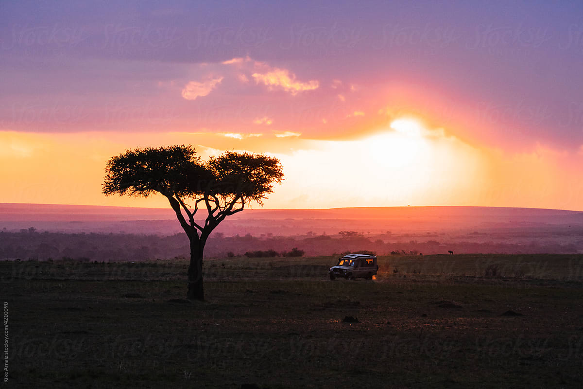 Car riding in savanna on evening