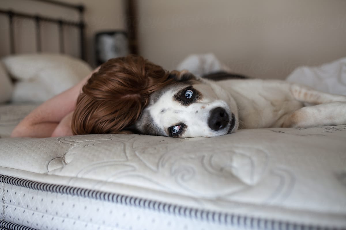 sleeping red haired boy with blue eyed dog on bed