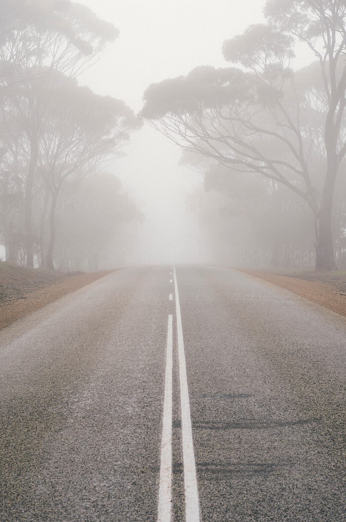 Foggy Road Ahead