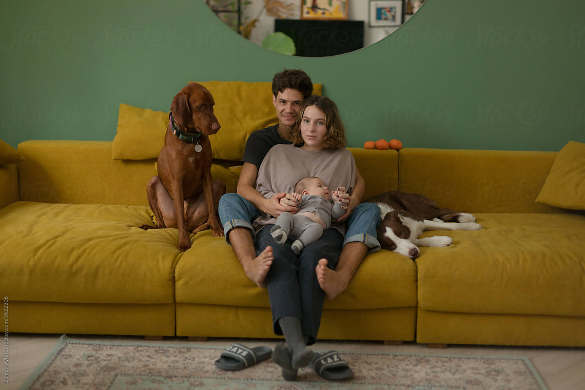 family with dogs sitting on the couch