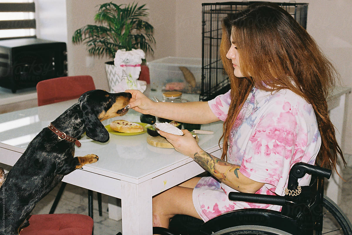 A girl in a wheelchair has breakfast with her dog and feeds it