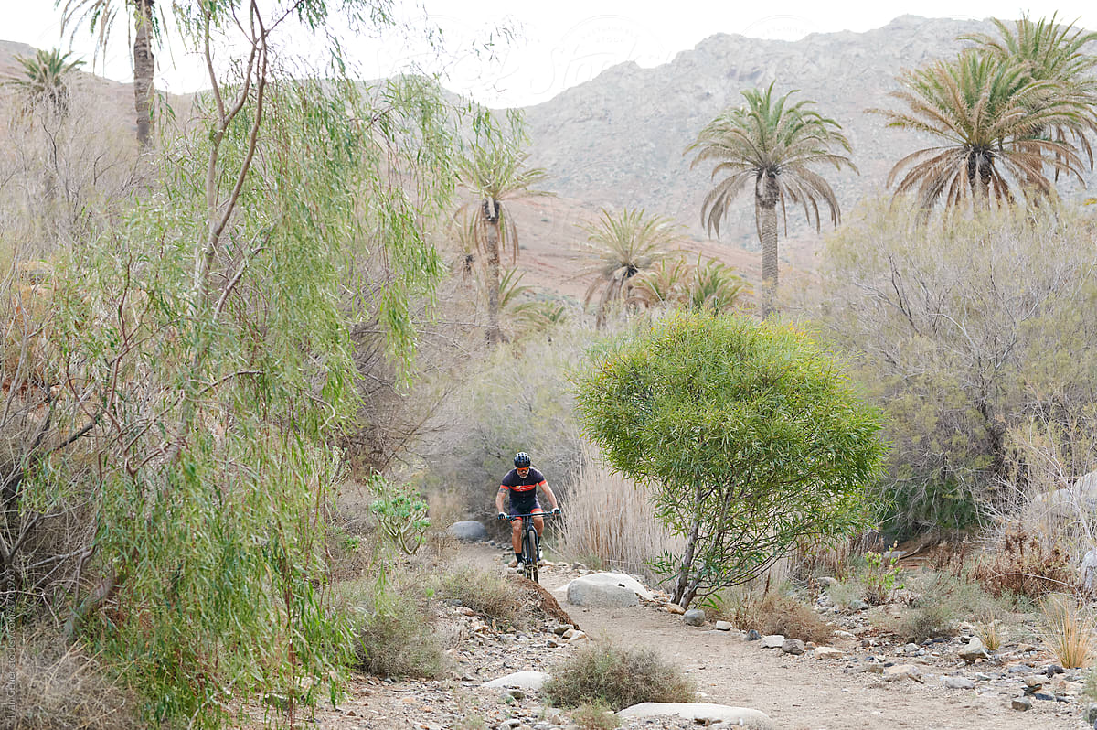Mature man mountain biking on a trail