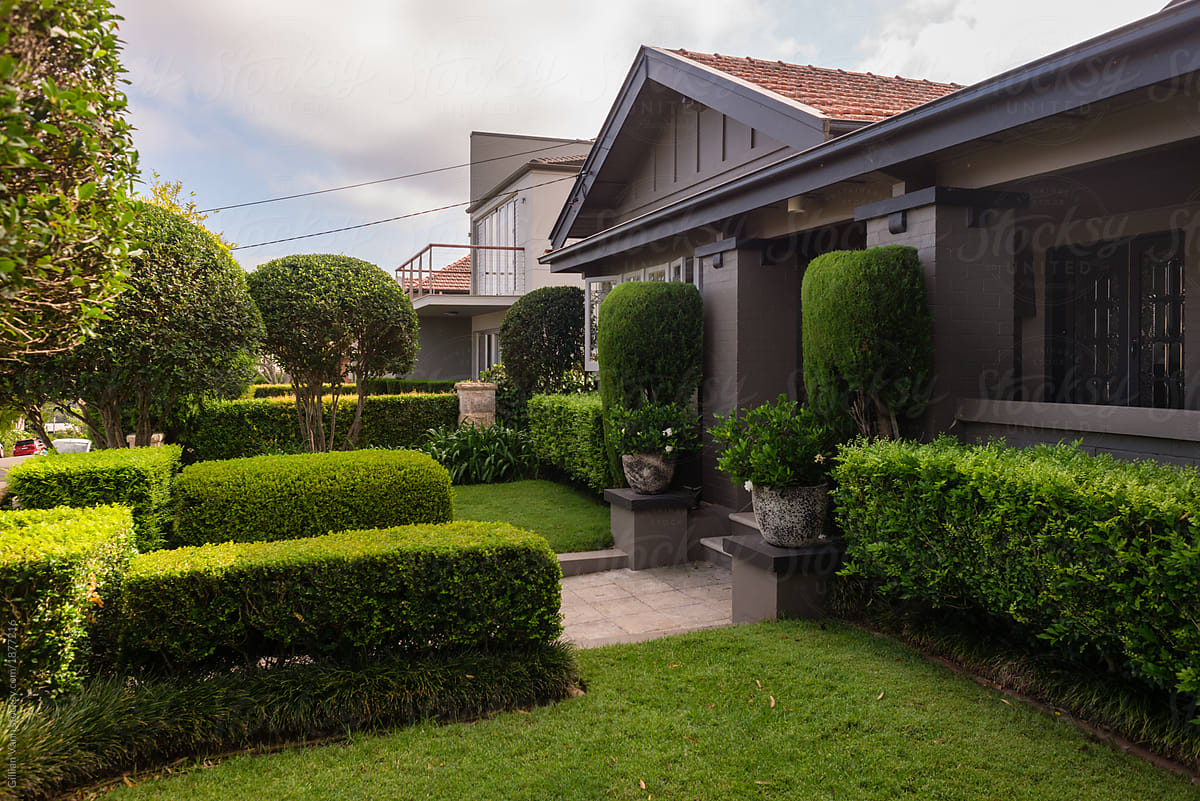 front lawn with hedges