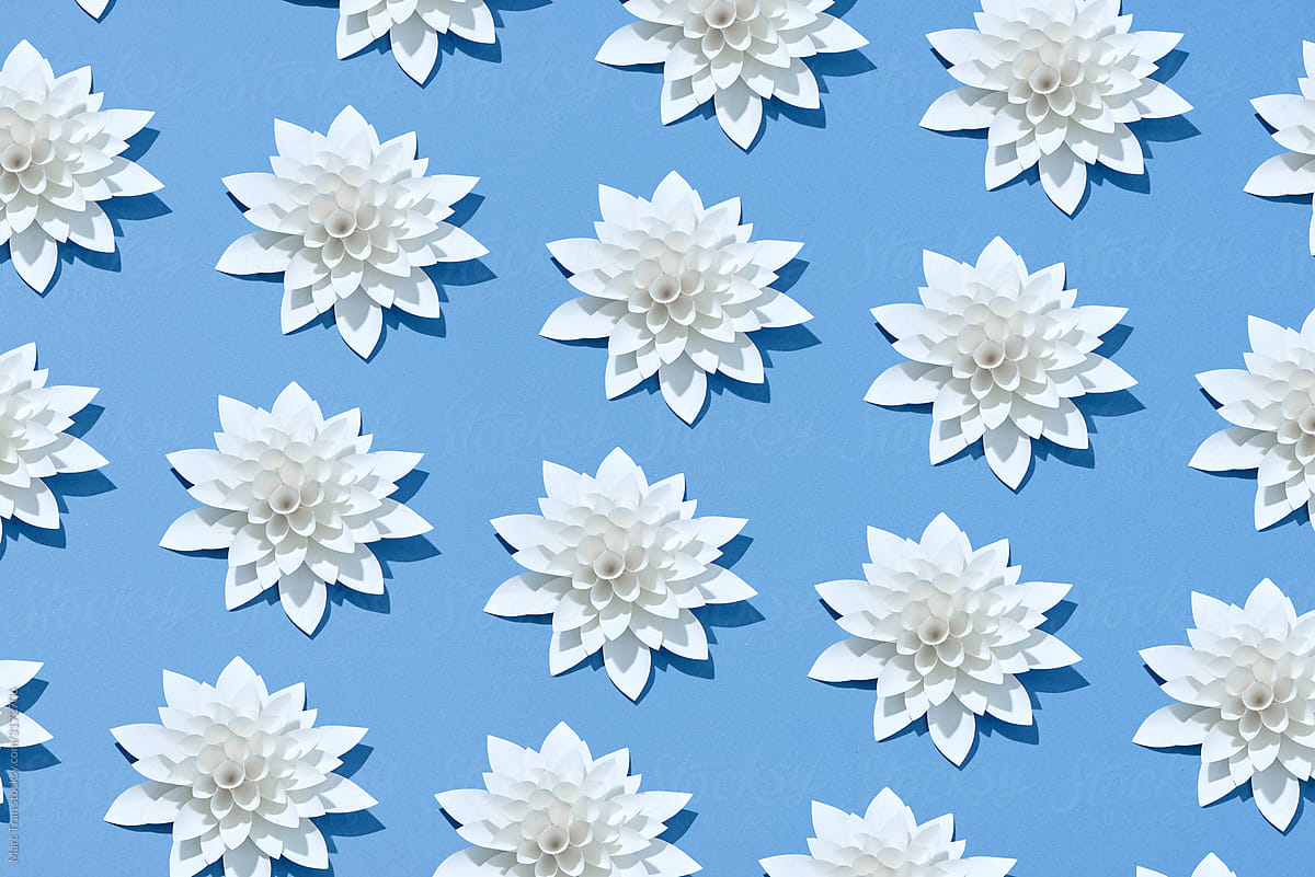 Decorative background from white paper flowers.